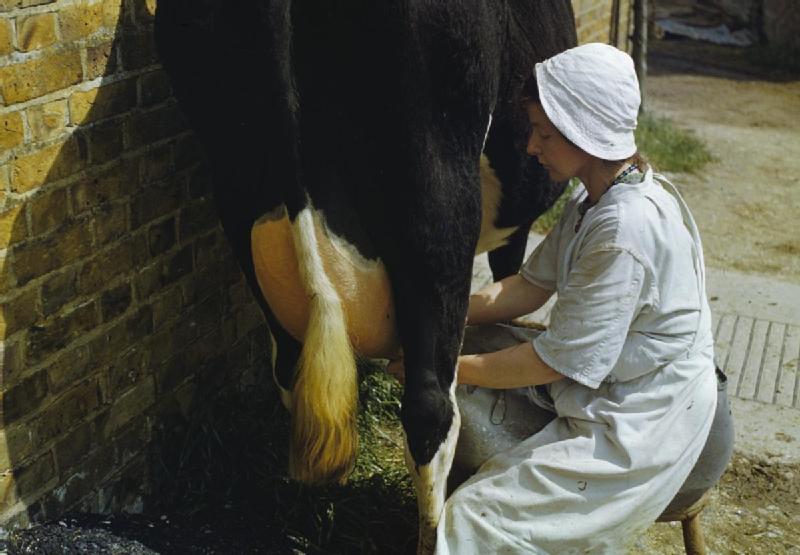 File:Farming in Britain during the Second World War TR942.jpg