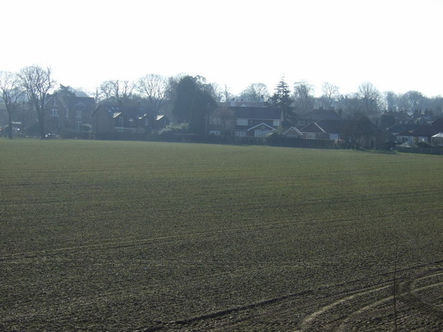 File:Farmland near Lymm - geograph.org.uk - 3354376.jpg