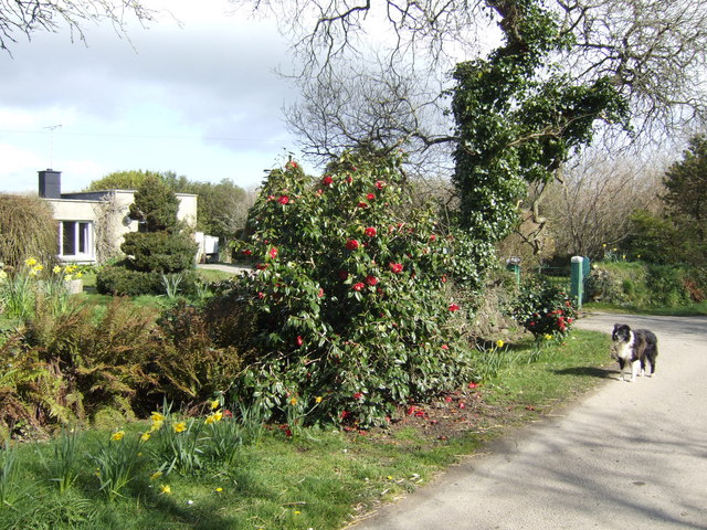 File:Fieldview - geograph.org.uk - 411663.jpg