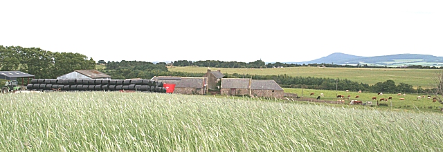 File:Finfan - geograph.org.uk - 198183.jpg