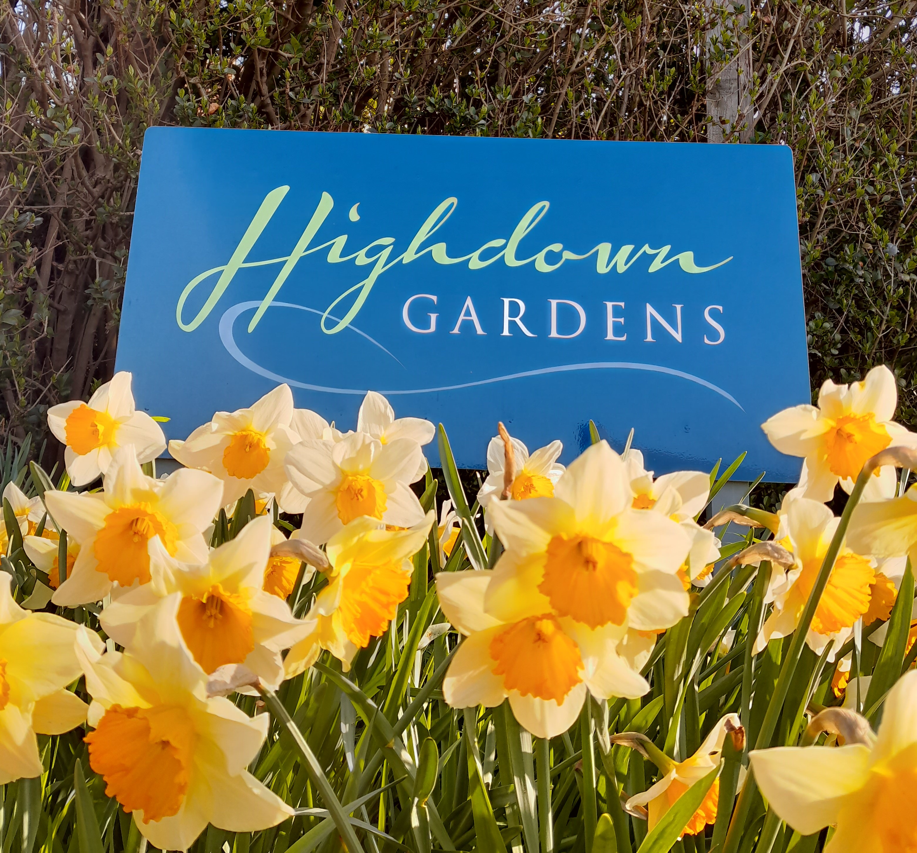 Highdown Gardens