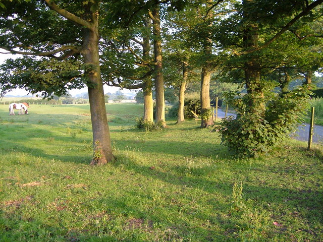 File:Hullock's Pool Road - geograph.org.uk - 194762.jpg