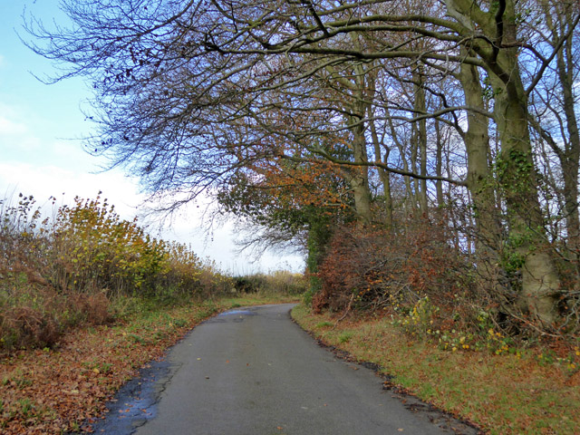 File:King's Lane - geograph.org.uk - 5608424.jpg