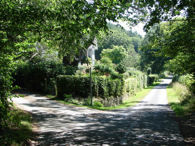 File:Lane To Nanteos - geograph.org.uk - 207944.jpg