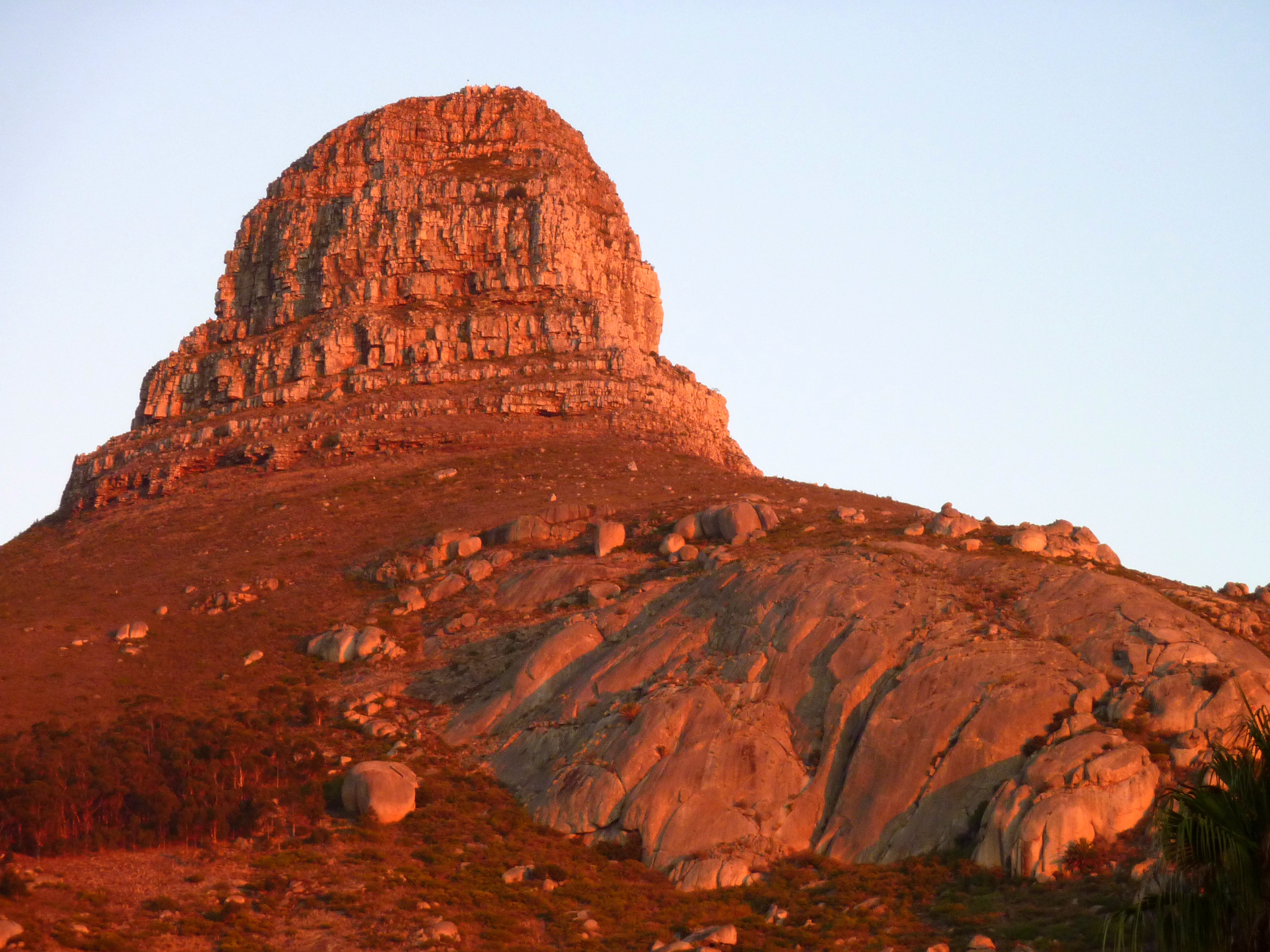 Lions head Кейптаун