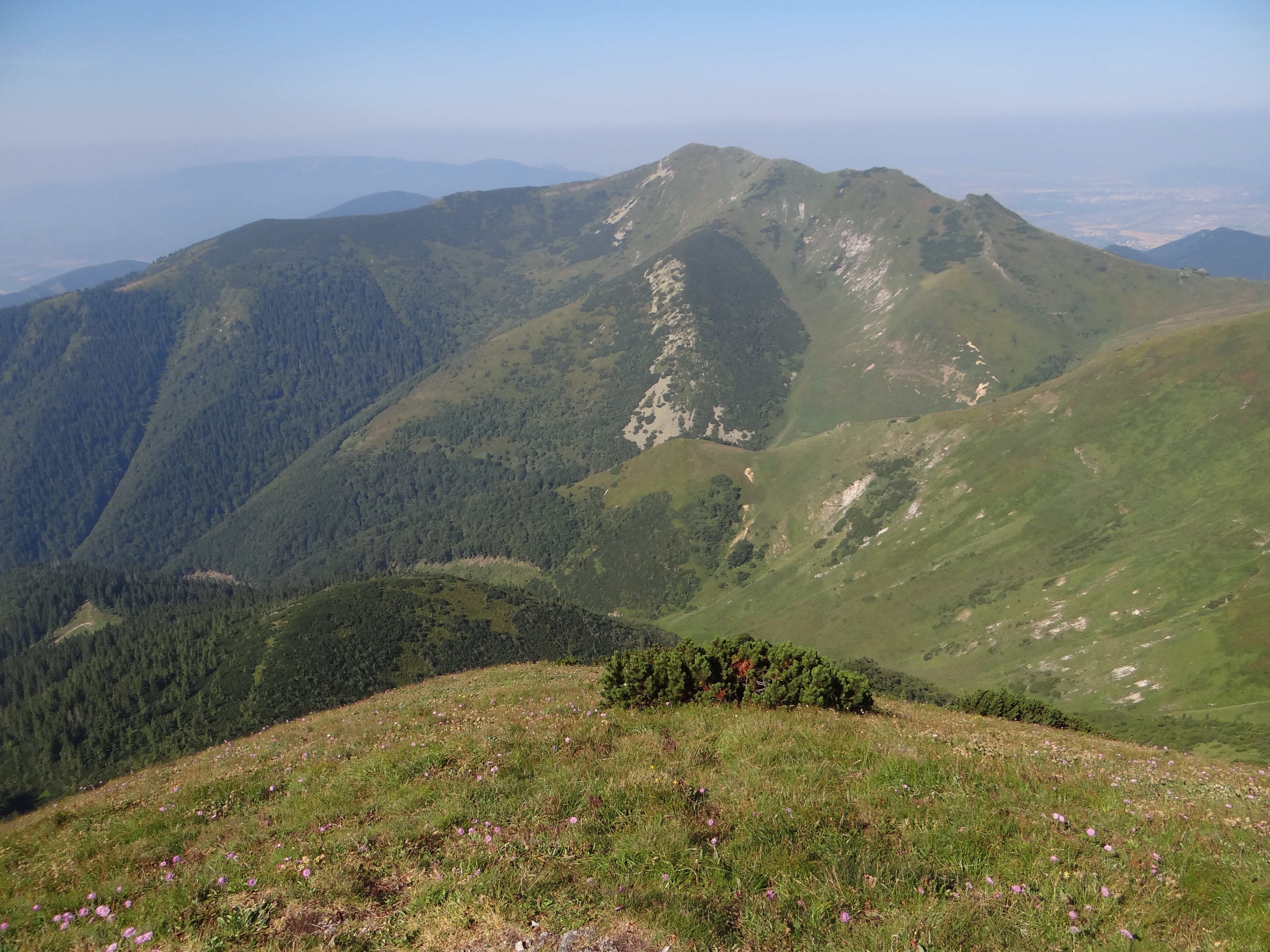 Гора Кривань Словакия. Муж сусличной Фатра. Fatra.