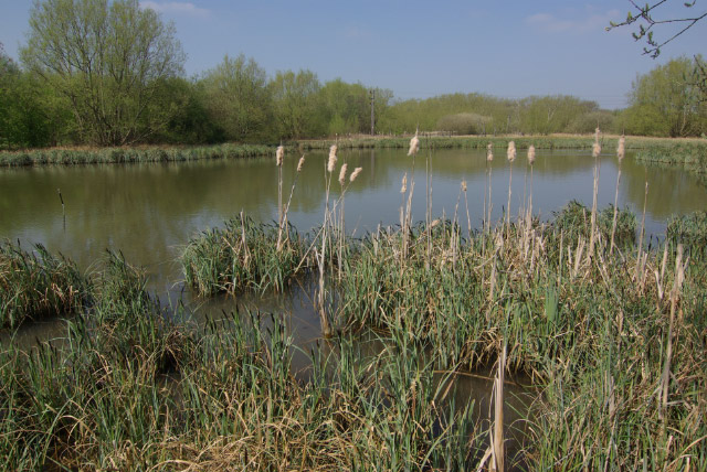 Manner Floods - geograph.org.uk - 1268369