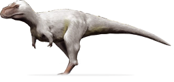 Nanuqsaurus