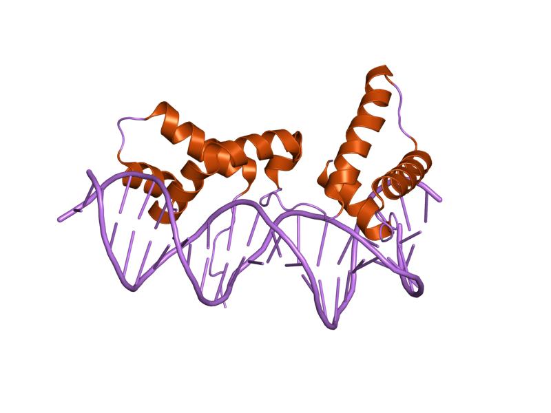 File:PDB 1hlv EBI.jpg