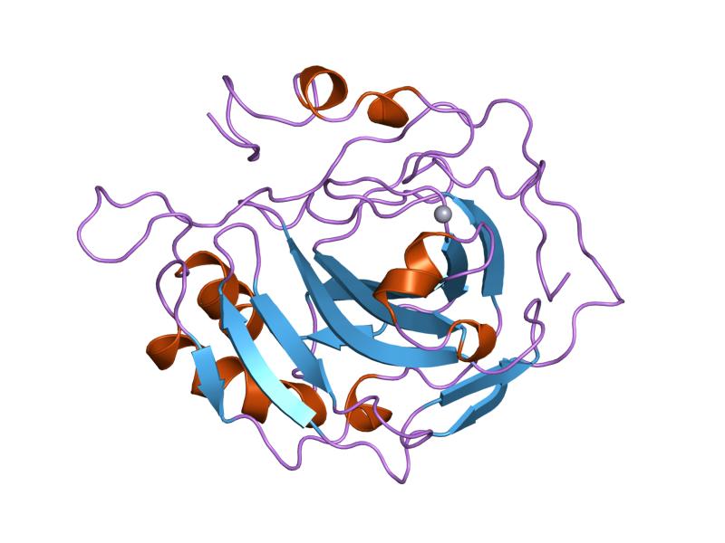 File:PDB 1uge EBI.jpg