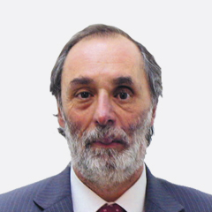 Pablo Tonelli Argentine politician