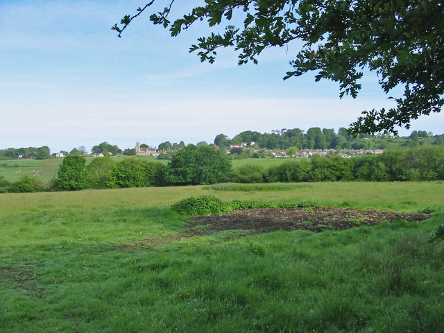 File:Pasture, Shaftesbury, Dorset. - geograph.org.uk - 440456.jpg