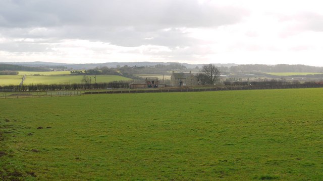 File:Pasture north of Sunny Side - geograph.org.uk - 1174616.jpg