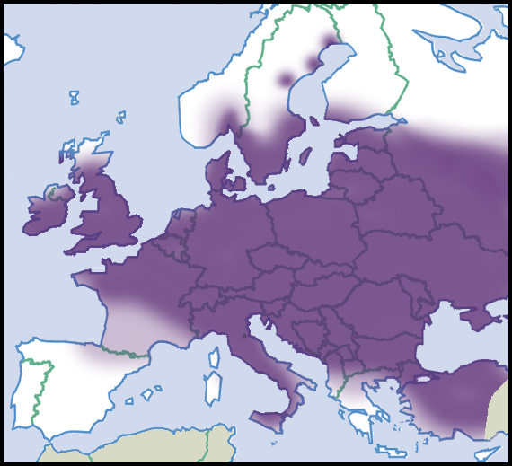 File:Physa-fontinalis-map-eur-nm-moll.jpg