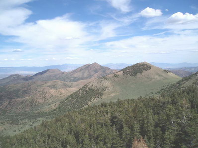 File:Red Mountain Wilderness.jpg