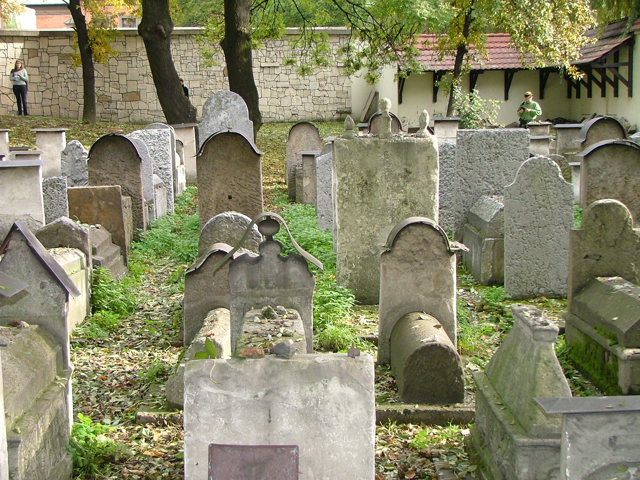 краков кладбище