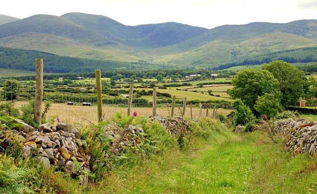 File:Rock Lane near Castlewellan (3of5) - geograph.org.uk - 879643.jpg