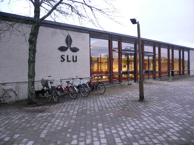 File:SLU, undervisingshuset2.JPG