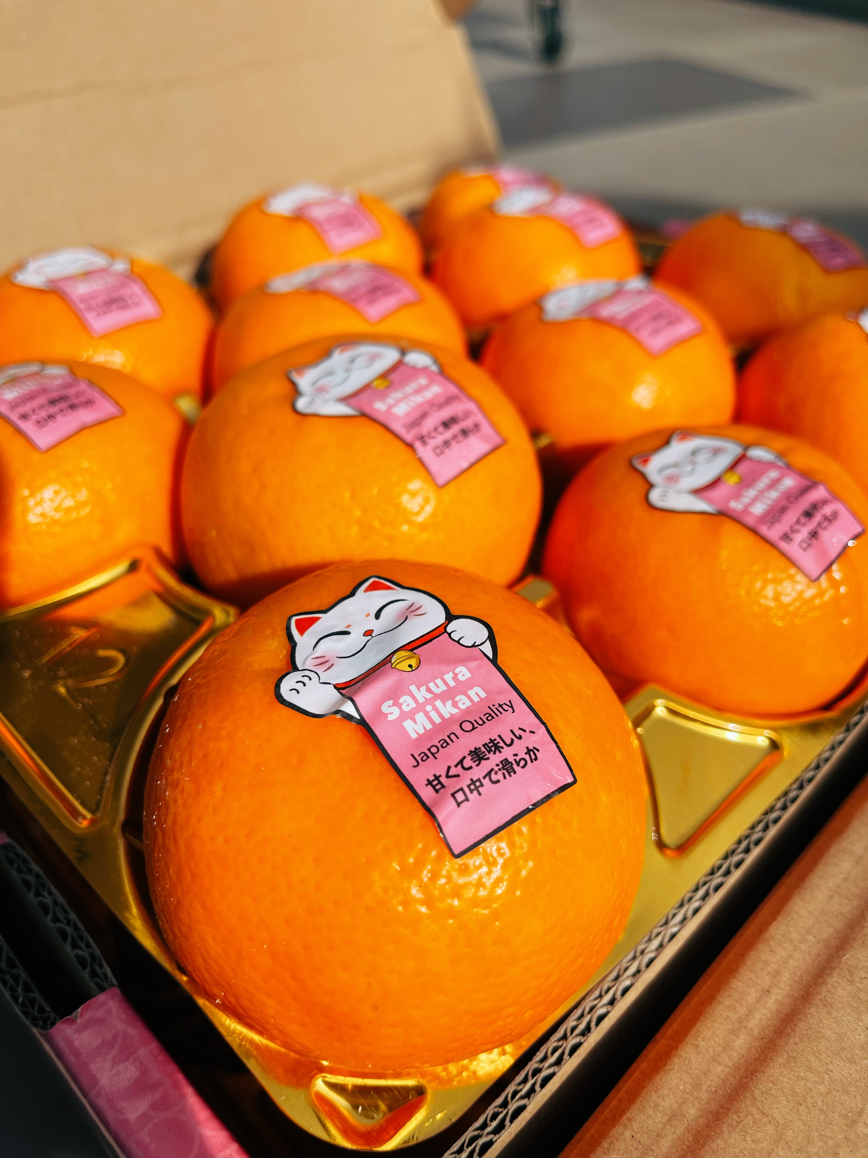 The cultural significance of mandarin oranges - Malaysia