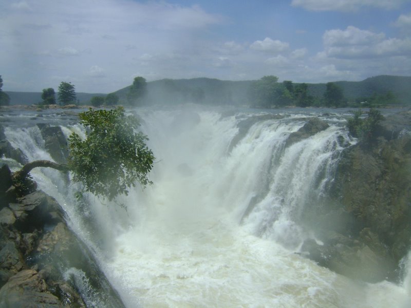 File:Hogenakkal, Tamil Nadu.jpg - Wikimedia Commons