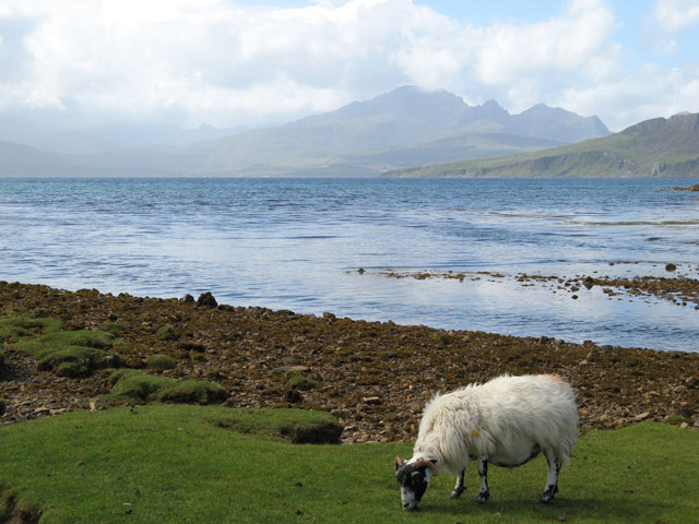 File:The green-keeper - geograph.org.uk - 901072.jpg