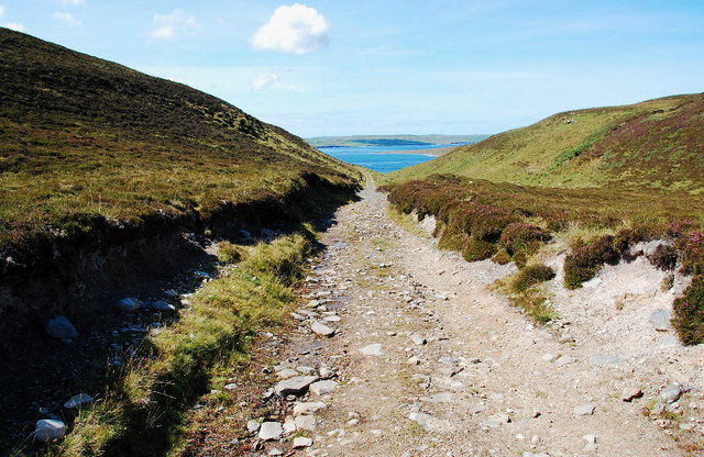 File:The track back - geograph.org.uk - 1414287.jpg