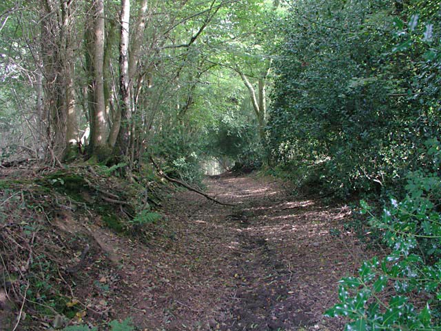 File:Track leading from Riverhill Lane to Flexham Park - geograph.org.uk - 258230.jpg