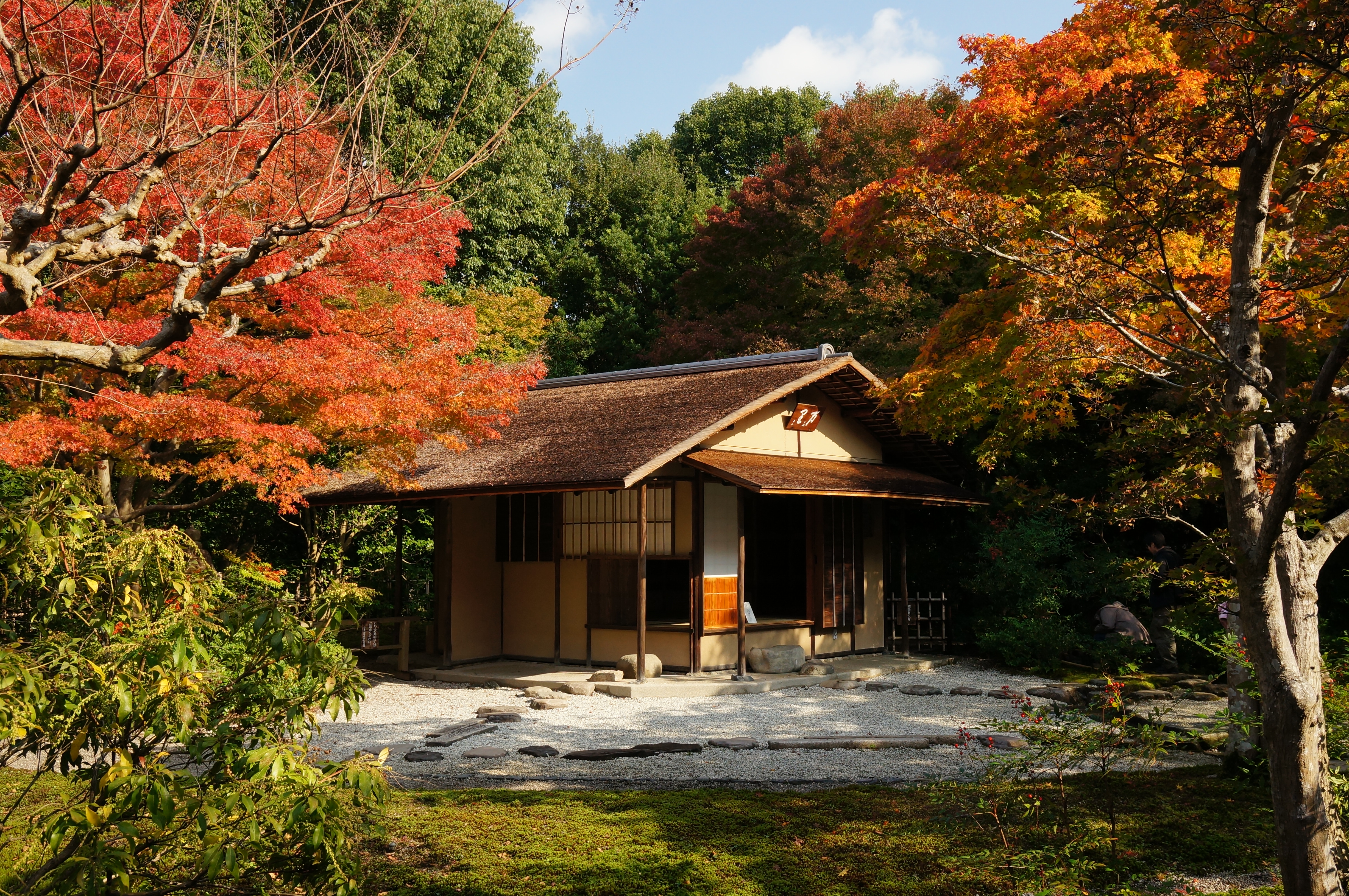 Casa De Madera Residente Japonesa Del Tatami Japonés Foto de