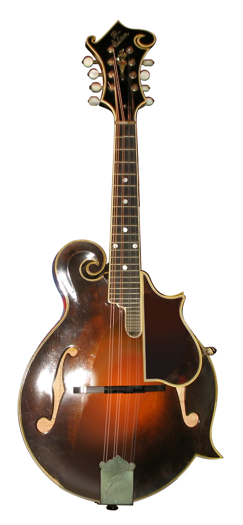 マンドリン Mandolin: 最新の百科事典、ニュース、レビュー、研究