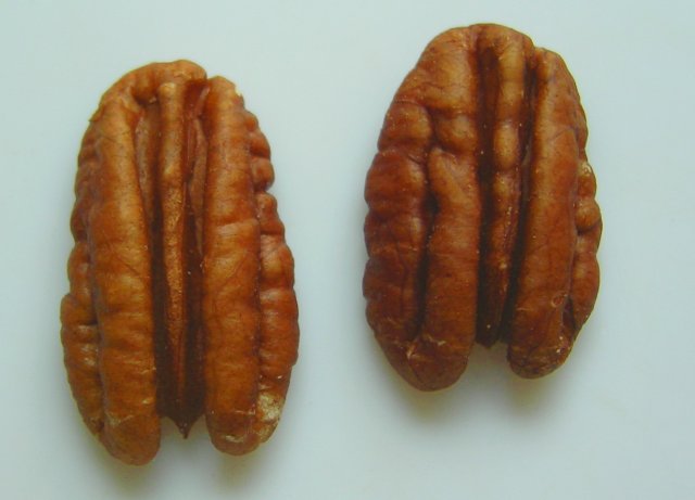 Image of Pecan