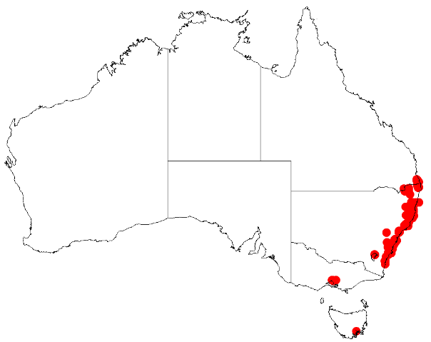 File:Acacia binervataDistMap116.png