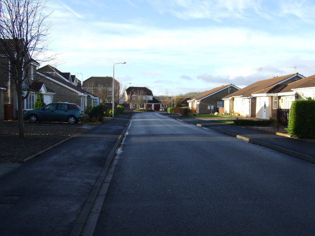 File:Avocet Way, Bridlington - geograph.org.uk - 3245141.jpg