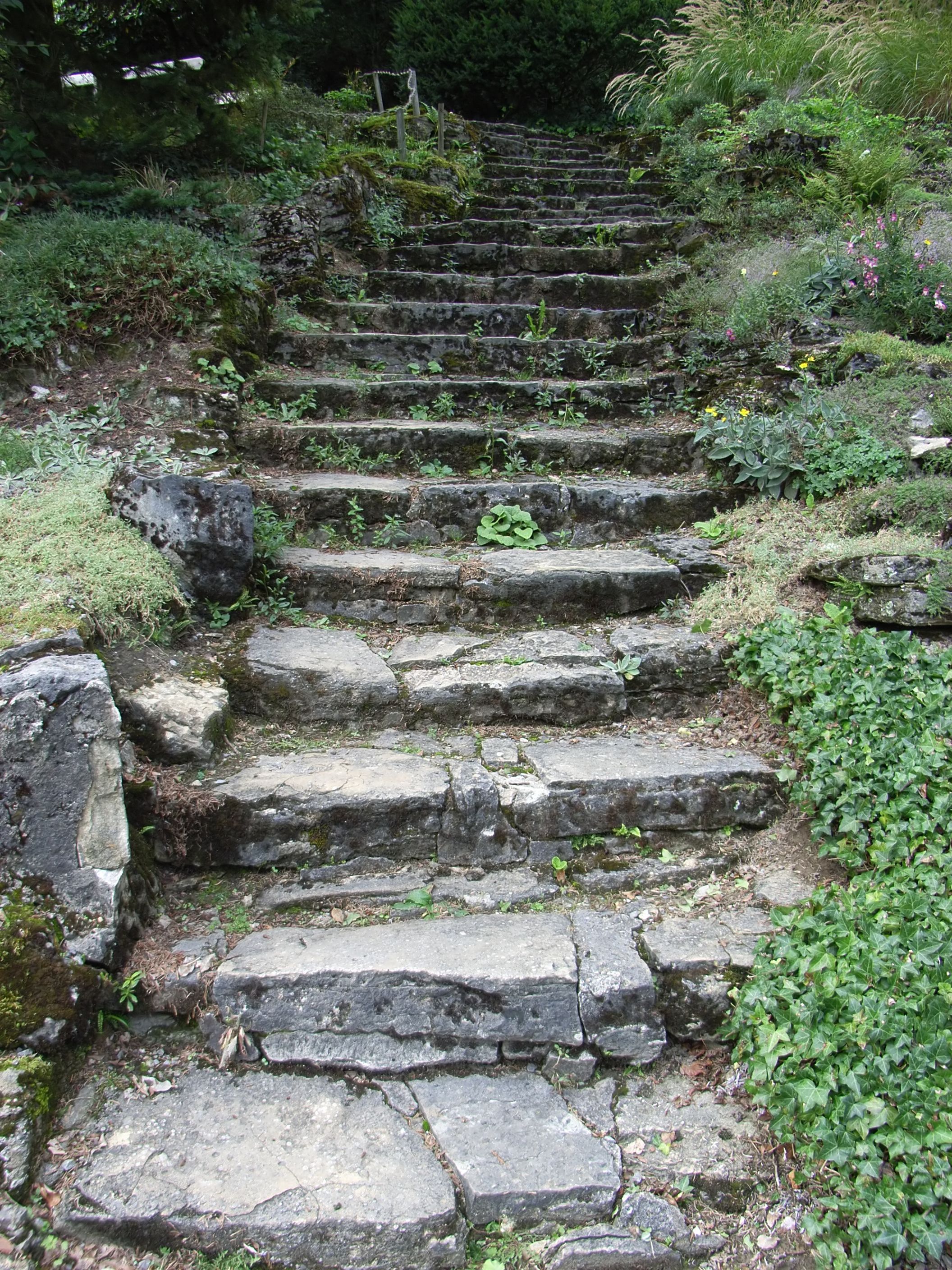 File Bielefeld Botanischer Garten Treppe Jpg Wikimedia Commons