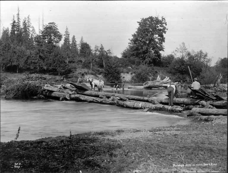 File:Building dam across Black River as part of the process of shifiting the path of the Cedar River, ca 1899 (SPWS 405).jpg