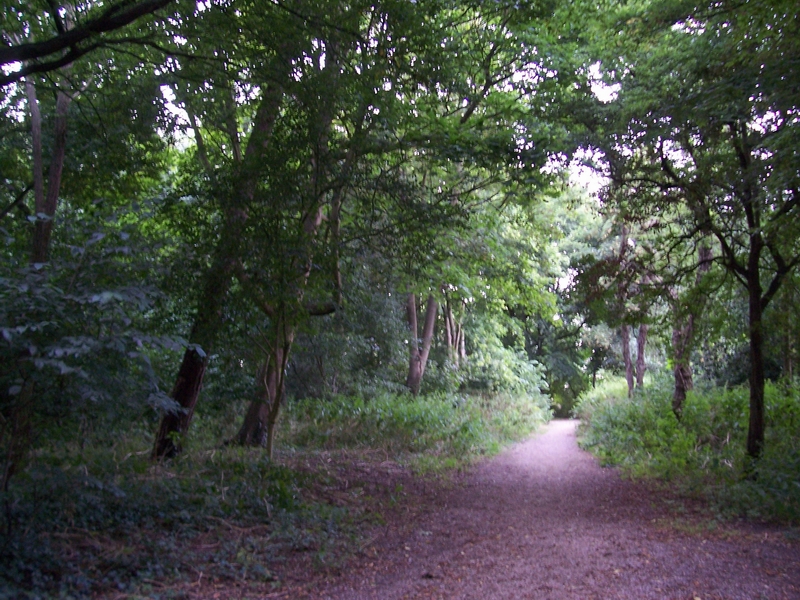 File:Burgemeester De Ridderpark Katwijk.JPG