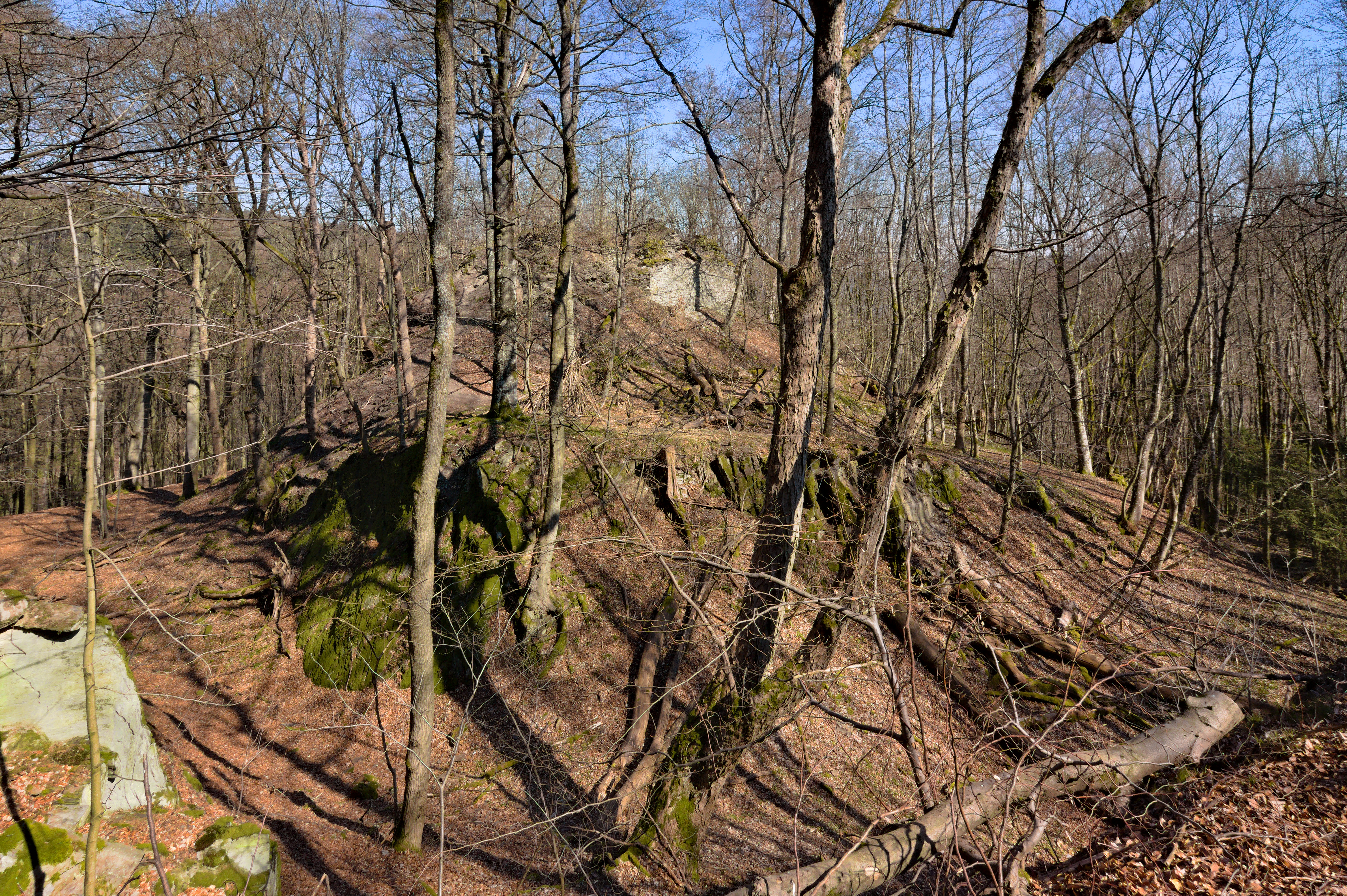 The remains of Hattstein castle between Oberreifenberg and Schmitten (Taunus), Germany. Only the nec...