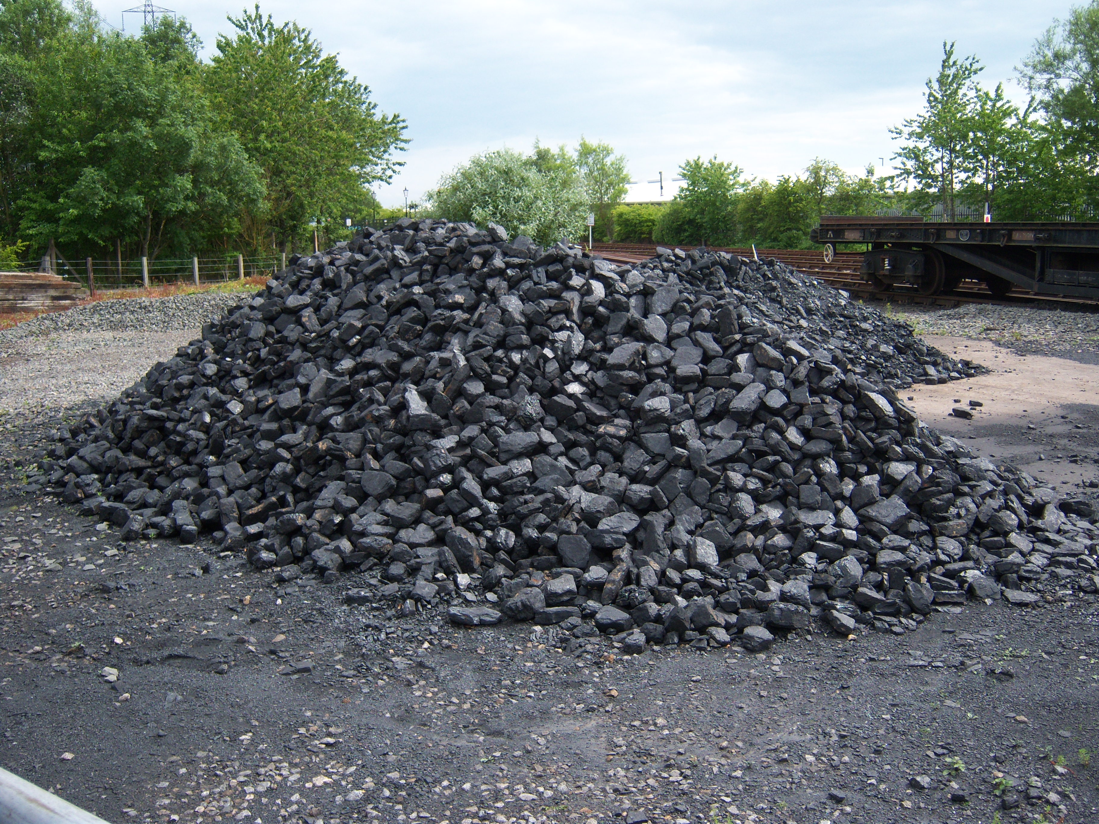 Buyer steam coal фото 83