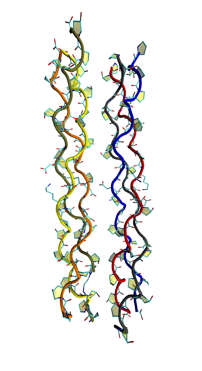 File:Collagen (triple helix protein with schematic ribbons).jpg ...