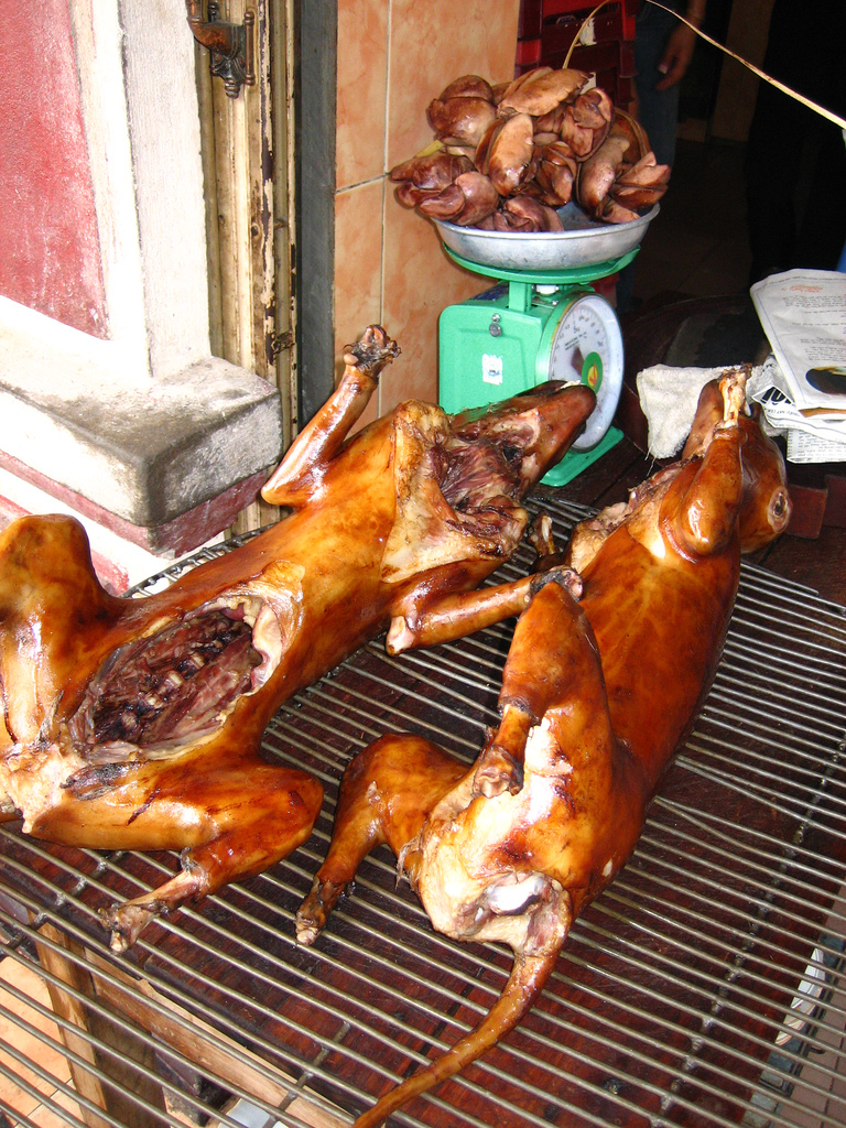 Resultado de imagem para comida feita de cachorro na coreia