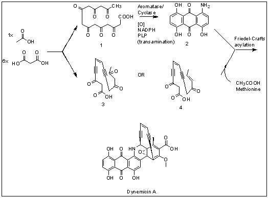 Dynemicin A биосинтез жолдары.png