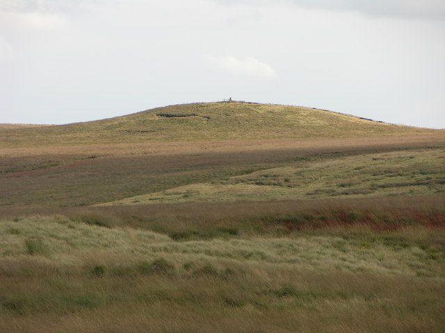 File:Edgerton Moss - geograph.org.uk - 562403.jpg