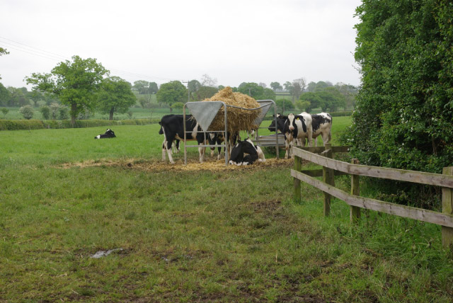 File:Farmland near Marston Montgomery - geograph.org.uk - 432320.jpg