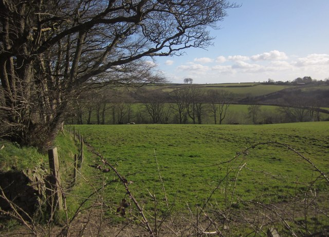File:Farmland west of Upcott Barton - geograph.org.uk - 3427332.jpg