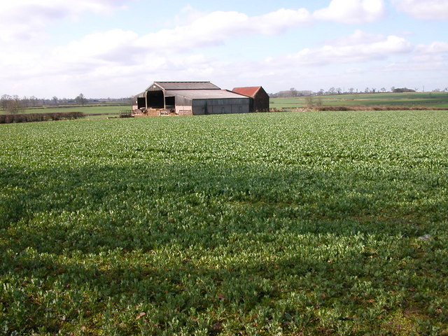 File:Gilmorton - geograph.org.uk - 146942.jpg