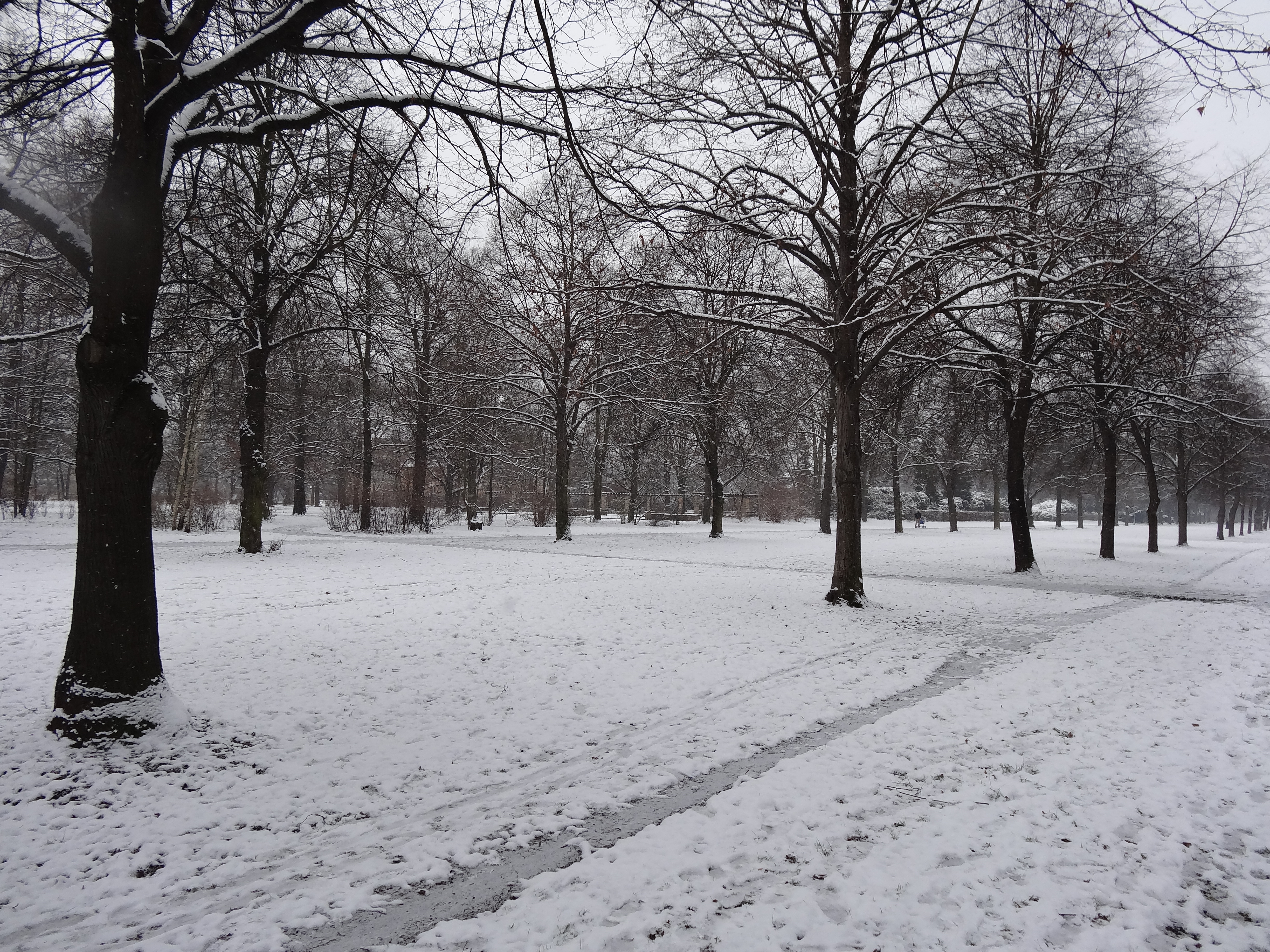 File Grosser Garten Dresden In Winter 1060 Jpg Wikimedia Commons