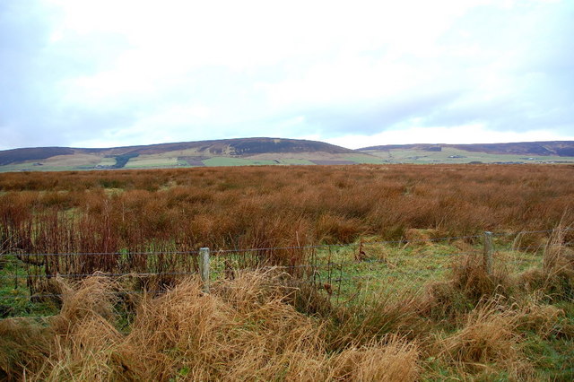 File:Heath and bog - geograph.org.uk - 1083068.jpg