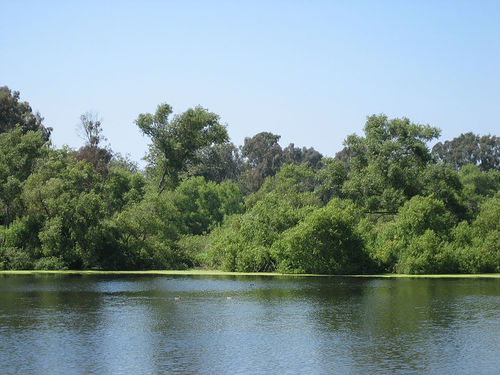 File:Huntington Central Park lake.jpg