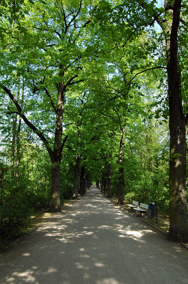 Luisenpark aus Südwesten, entlang des Flutgrabens in Erfurt