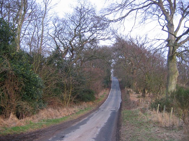 File:Mag's Hill - geograph.org.uk - 141819.jpg