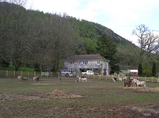 File:Merestead with Donkeys - geograph.org.uk - 767260.jpg